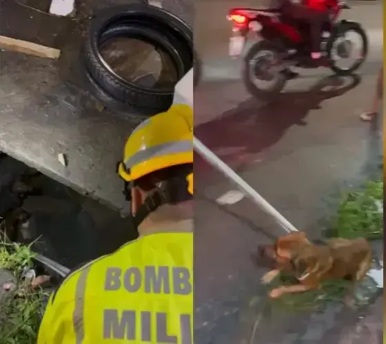 'Caramelos' saem na porrada, caem em bueiro e são resgatados no Tancredo Neves