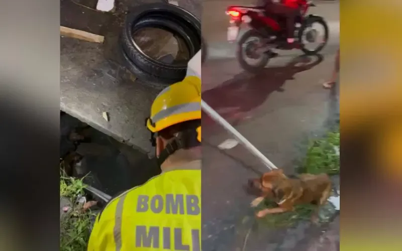 'Caramelos' saem na porrada, caem em bueiro e são resgatados no Tancredo Neves
