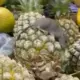 Clientes flagram 'Ratatouille' sobre abacaxis em supermercado de Manaus