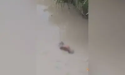 Corpo é encontrado em igarapé sob ponte no bairro Novo Aleixo