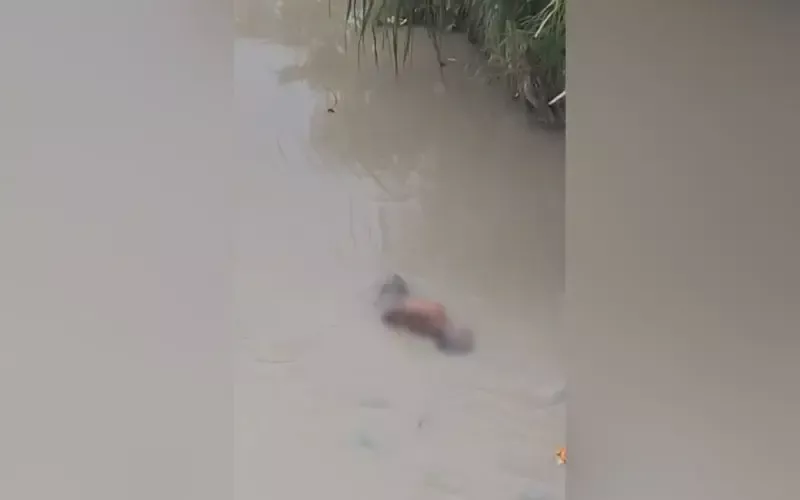 Corpo é encontrado em igarapé sob ponte no bairro Novo Aleixo