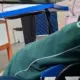 Vídeo de pedagoga com declaração contra pais gera protesto em escola de Manaus