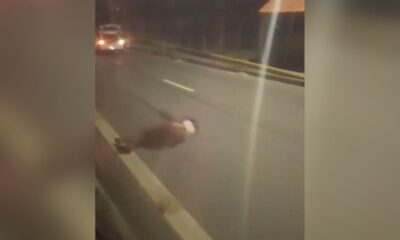 Agente de portaria morre em acidente de moto na Av. das Flores