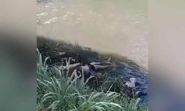 Suspeito de roubo é leva pedrada e se joga no igarapé do Passarinho