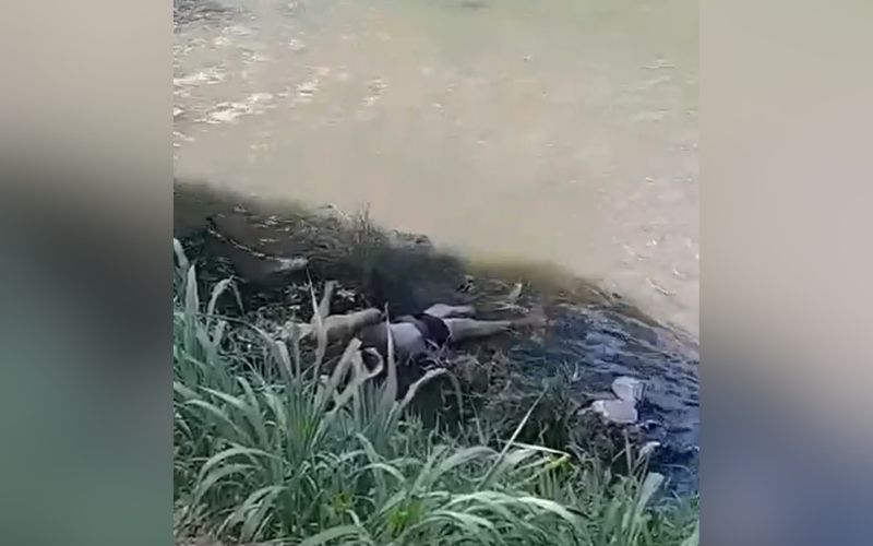 Suspeito de roubo é leva pedrada e se joga no igarapé do Passarinho