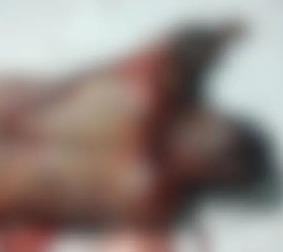 Homem é morto a pauladas dentro de casa no Tancredo Neves