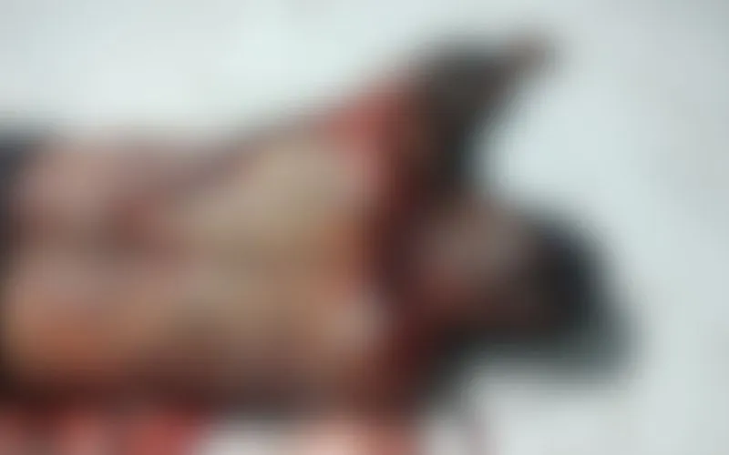 Homem é morto a pauladas dentro de casa no Tancredo Neves