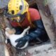 Cachorrinho é resgatado com vida de bueiro na Cidade Nova