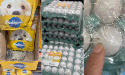 Consumidora denuncia ovos com larvas em unidade do DB Supermercados