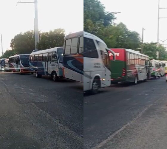 Greve do transporte especial e afeta trabalhadores em Manaus