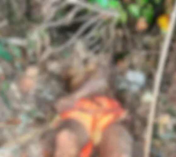 Homem é assassinado em área de mata no bairro Novo Israel