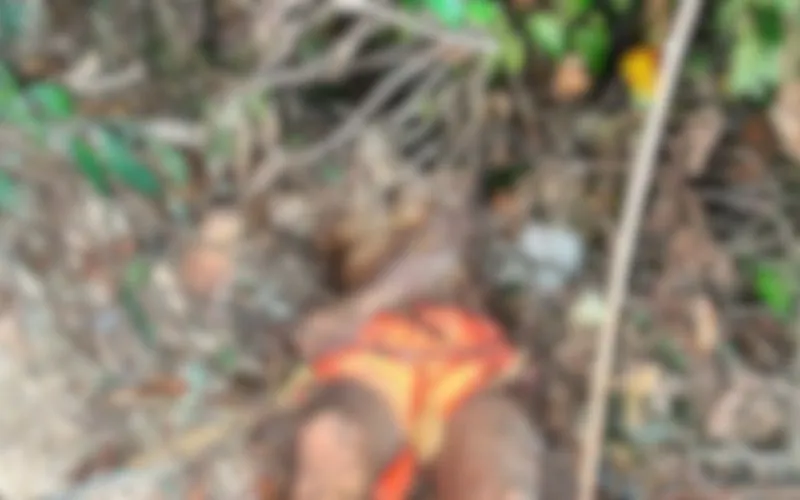 Homem é assassinado em área de mata no bairro Novo Israel