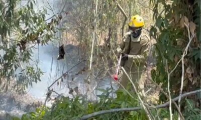 Incêndio em terreno assusta moradores na Cidade Nova