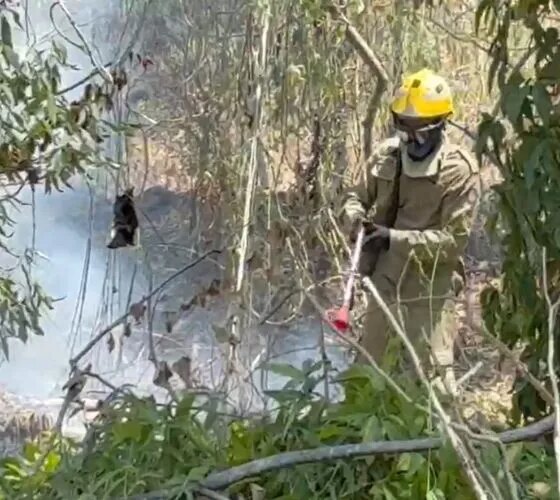 Incêndio em terreno assusta moradores na Cidade Nova