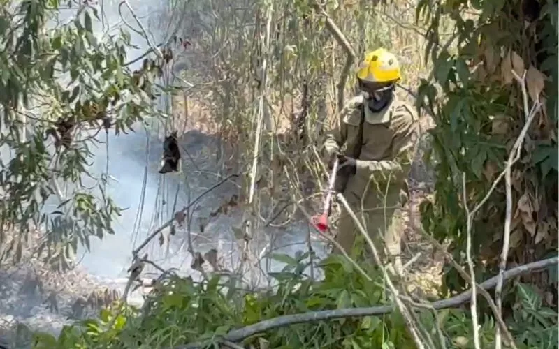 Incêndio em terreno assusta moradores na Cidade Nova
