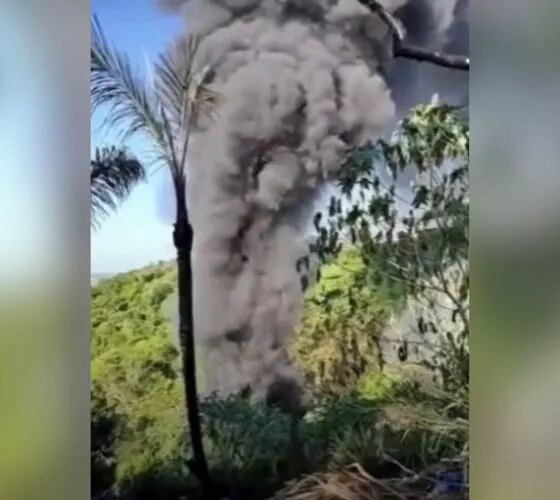 Incêndio volta a atingir vegetação no Distrito Industrial de Manaus