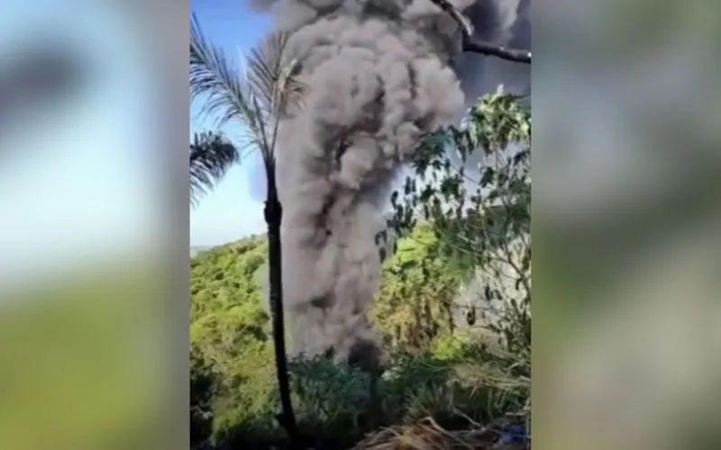 Incêndio volta a atingir vegetação no Distrito Industrial de Manaus