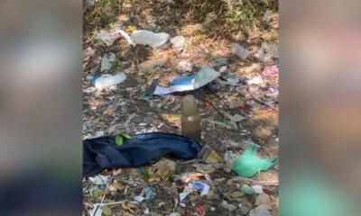 Material com aparência de feto é encontrado no bairro Aleixo