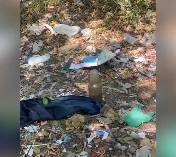 Material com aparência de feto é encontrado no bairro Aleixo