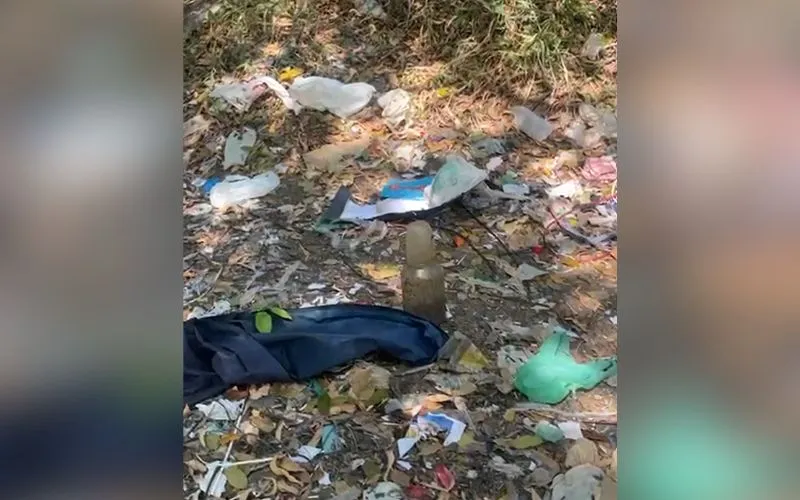 Material com aparência de feto é encontrado no bairro Aleixo