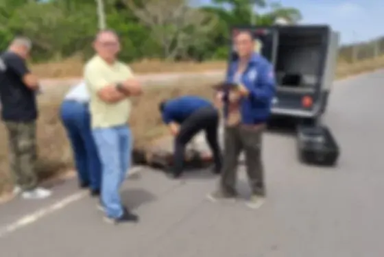 Mulher é encontrada morta com fraturas às margens da AM-070, em Iranduba