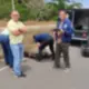 Mulher é encontrada morta com fraturas às margens da AM-070, em Iranduba