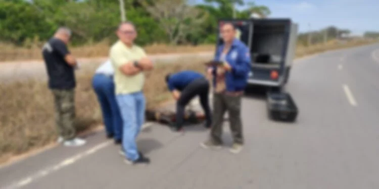 Mulher é encontrada morta com fraturas às margens da AM-070, em Iranduba