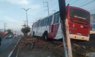 Ônibus da linha 350 bate em árvore na zona norte de Manaus