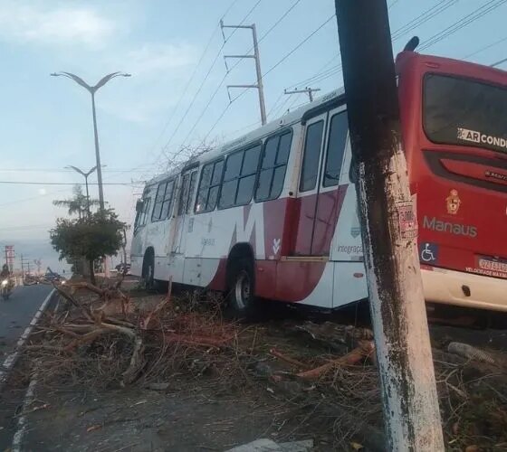 Ônibus da linha 350 bate em árvore na zona norte de Manaus