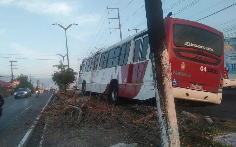 Ônibus da linha 350 bate em árvore na zona norte de Manaus