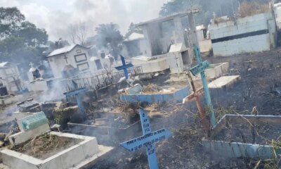 Princípio de incêndio atinge área do Cemitério Tarumã