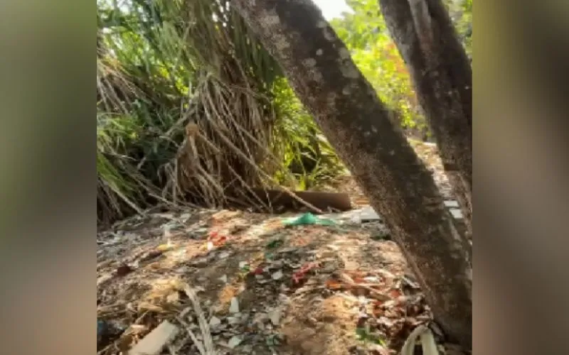 Corpo de mulher é encontrado em decomposição no Planalto