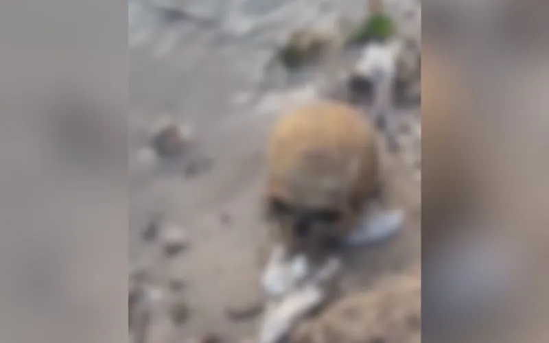 Crânio é encontrado por garis às margens do Rio Negro
