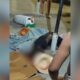 Homem de 54 anos é morto a tiros próximo à Feira da Panair