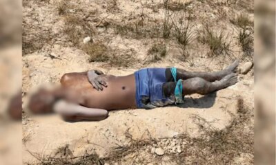 Homem é encontrado morto em área de mata na Av. das Torres