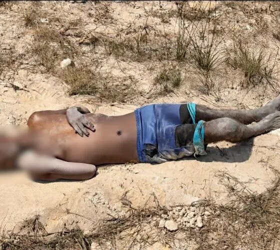 Homem é encontrado morto em área de mata na Av. das Torres