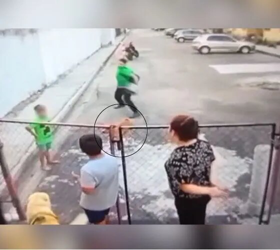 Homem joga pedra em cachorro diante de crianças em Manaus