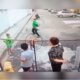 Homem joga pedra em cachorro diante de crianças em Manaus