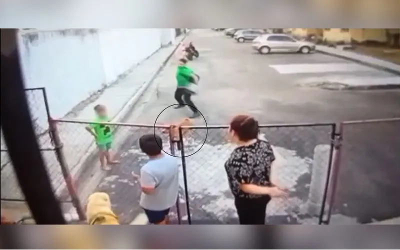 Homem joga pedra em cachorro diante de crianças em Manaus