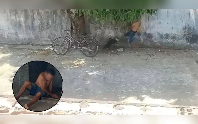 Homem é preso após espancar cachorro em Itacoatiara