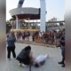Homem é executado a tiros em plena praia da Ponta Negra