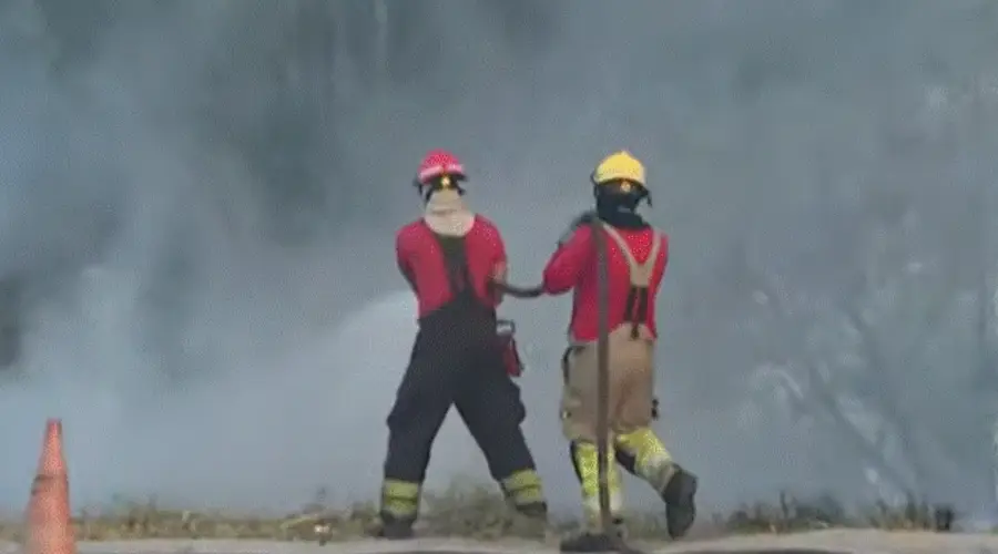 Incêndio atinge área de mata próximo à Rotatória do Coroado em Manaus
