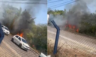 Incêndio atinge área de vegetação no Distrito Industrial