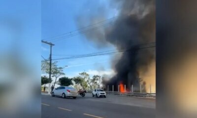 Incêndio de grandes proporções atinge área de mata no São Raimundo
