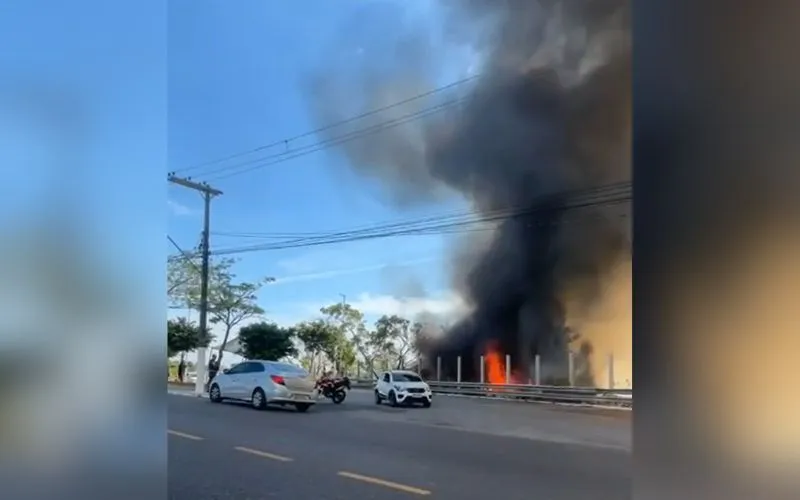 Incêndio de grandes proporções atinge área de mata no São Raimundo