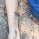 Jovem é encontrada morta com marca de tiro na AM-010