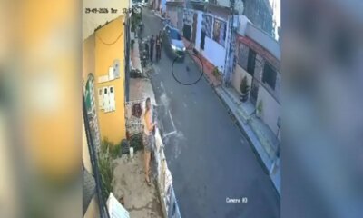 Motorista atropela cachorro e foge sem prestar socorro em Manaus