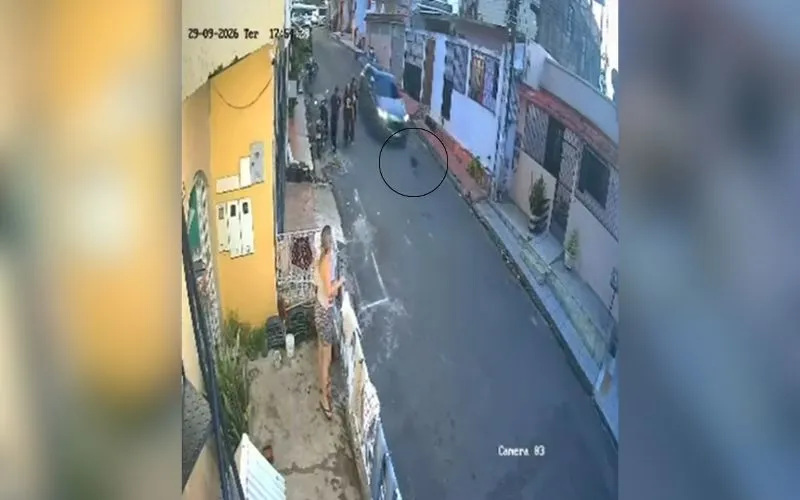 Motorista atropela cachorro e foge sem prestar socorro em Manaus