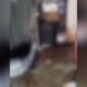 Vídeo mostra cena de terror onde idoso sofreu tortura na Praça 14