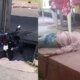 Homem aparece atordoado e morre horas depois no São José